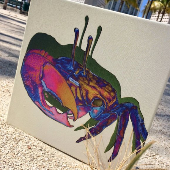 Fiddler Crab - Original Wall Art print on 12 x 12 canvas - Picture 6 of 6